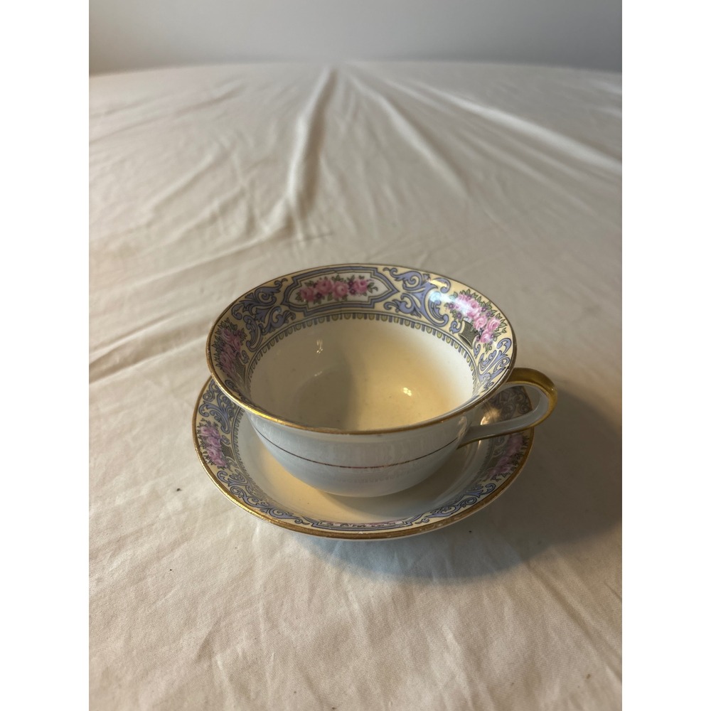 Vintage Floral Porcelain Tea Cup and Saucer Set Gold Trim Pink Rose Blue Scroll